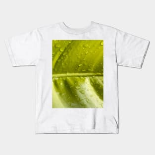 Wet green leaf with Water droplets. Kids T-Shirt